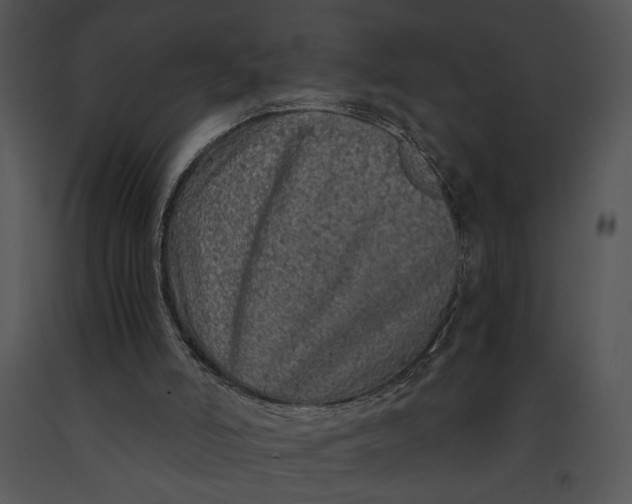 X0000091180006200708301226