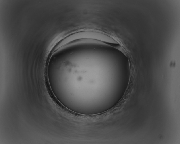 X0000091180007200708301226