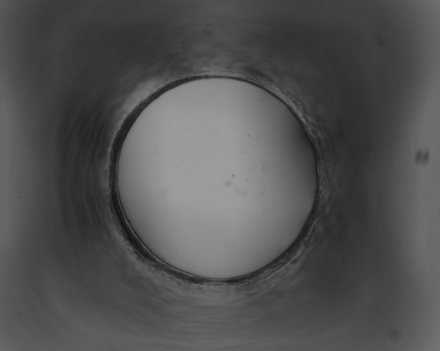 X0000091180008200708301226