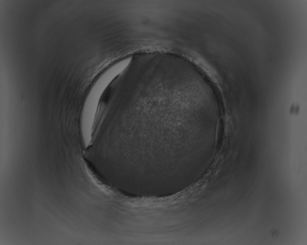 X0000091180009200708301226