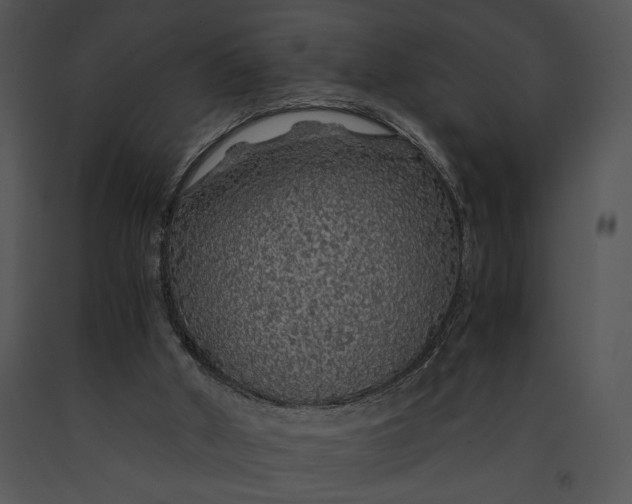X0000091180010200708301226