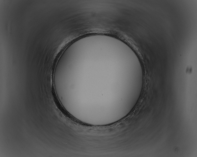 X0000091180011200708301226