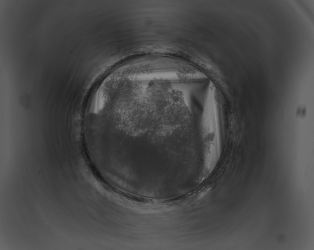 X0000091180012200708301226