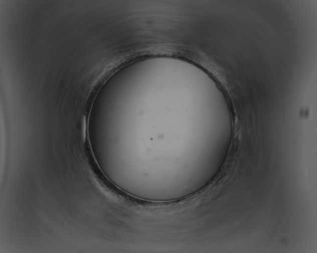 X0000091180013200708301226