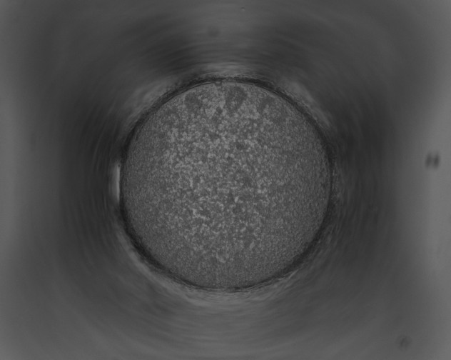 X0000091180014200708301226
