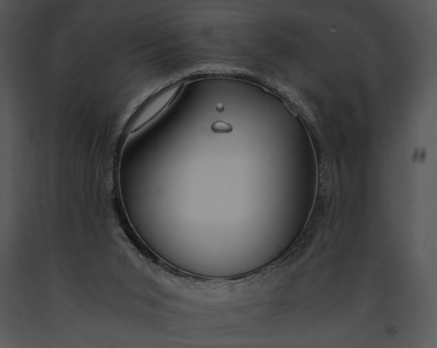 X0000091180015200708301226