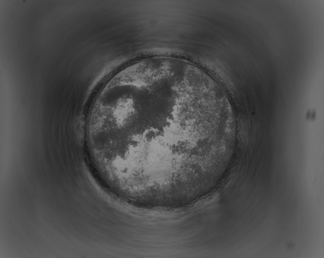 X0000091180016200708301226