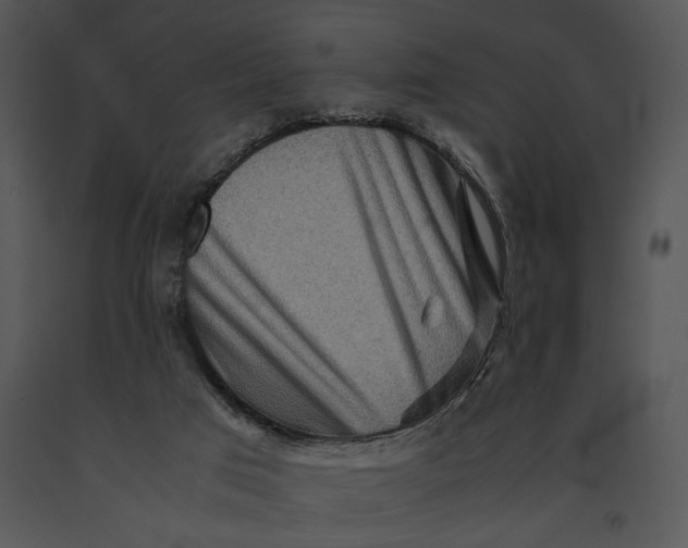 X0000091180017200708301226