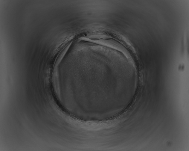 X0000091180018200708301226