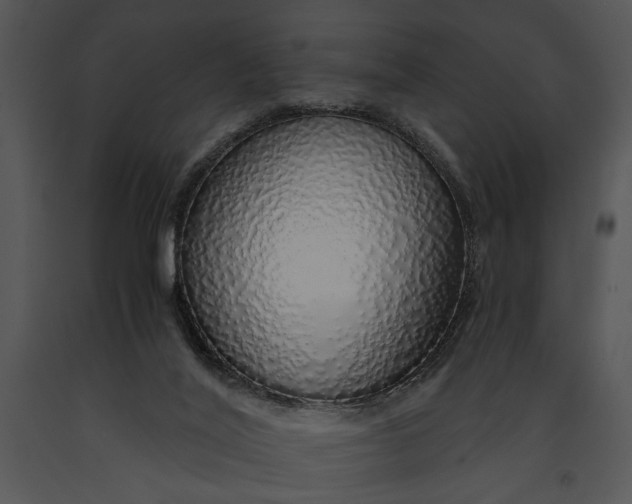 X0000091180020200708301226