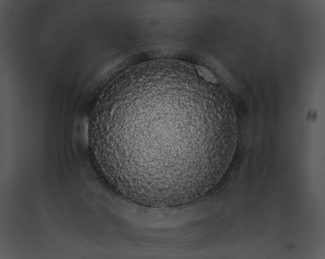 X0000091180022200708301226
