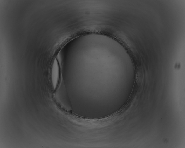 X0000091180023200708301226