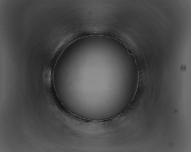 X0000091180024200708301225