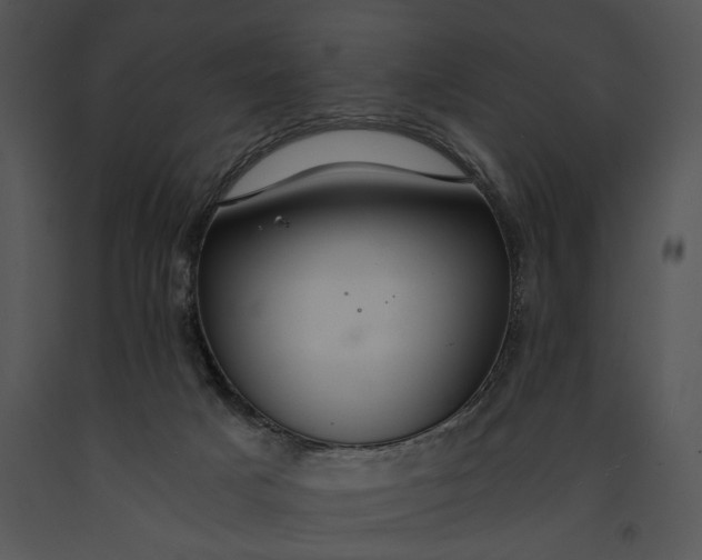 X0000091180025200708301225