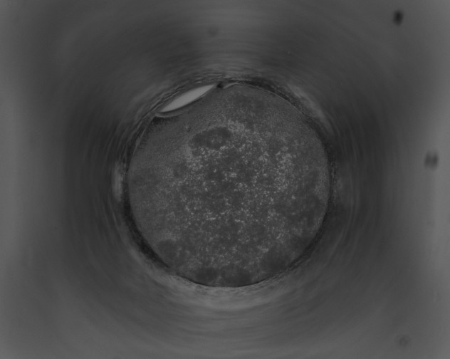 X0000091180026200708301225