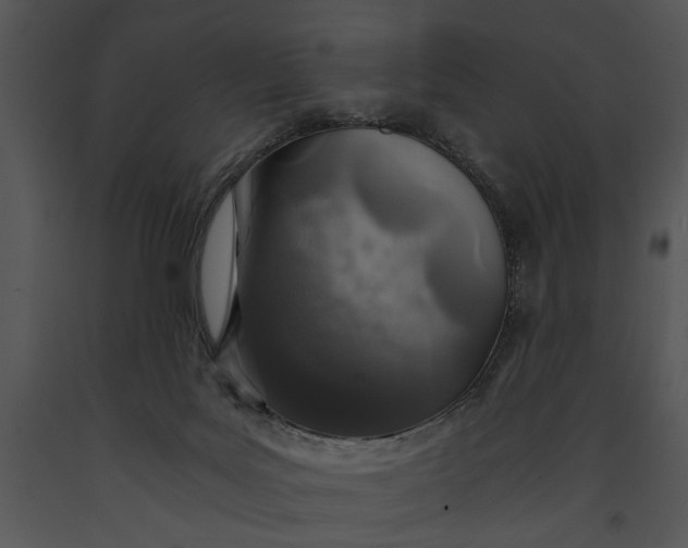 X0000091180027200708301225