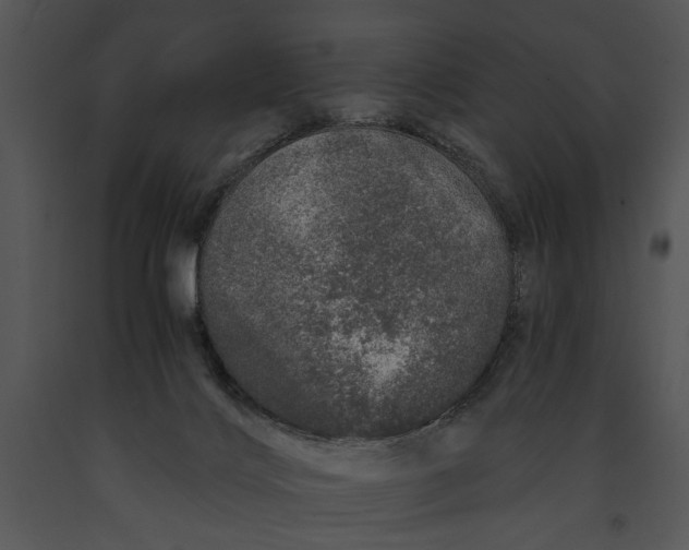 X0000091180028200708301225