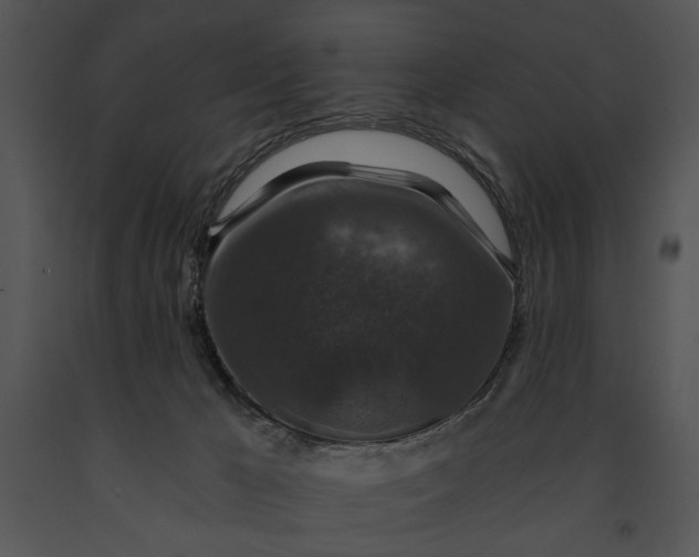 X0000091180029200708301225