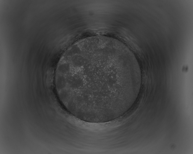 X0000091180030200708301225