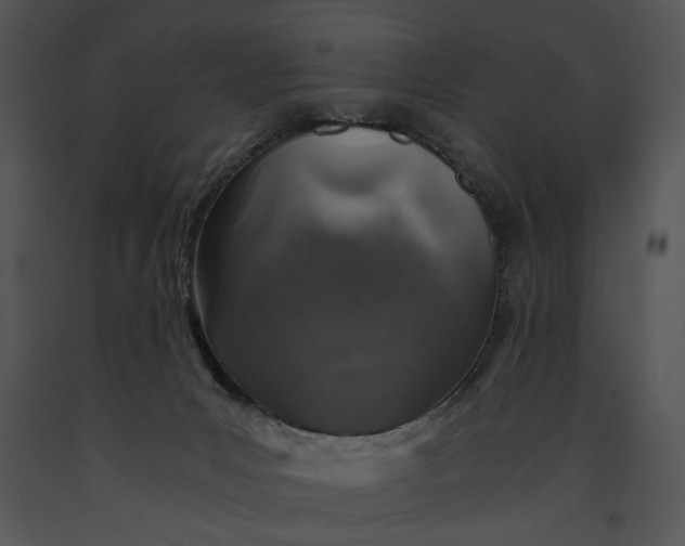 X0000091180031200708301225