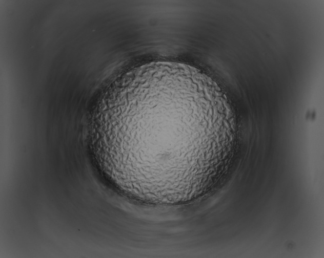 X0000091180032200708301225