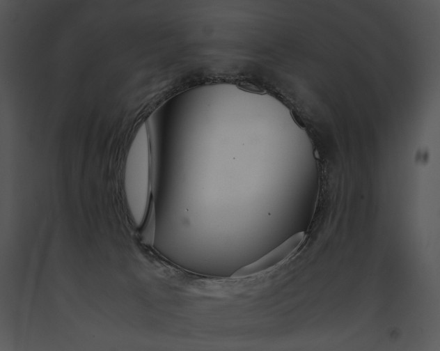 X0000091180033200708301225