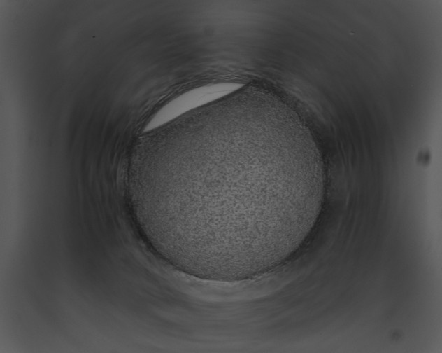 X0000091180034200708301225