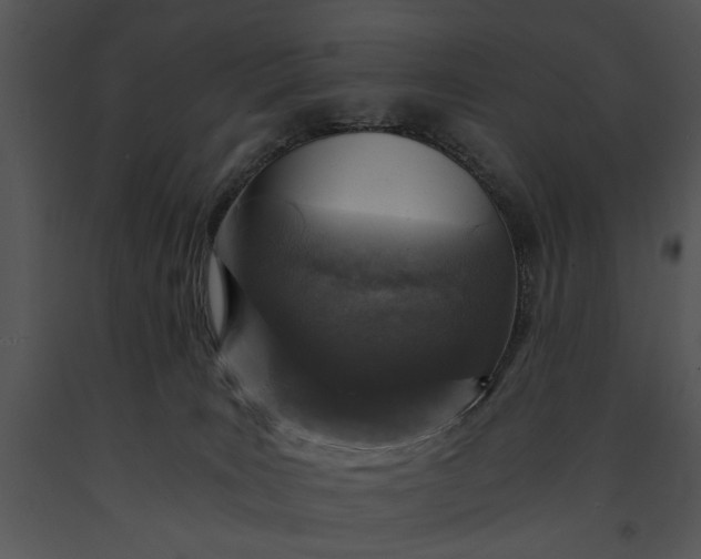 X0000091180035200708301225