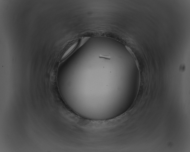 X0000091180037200708301225