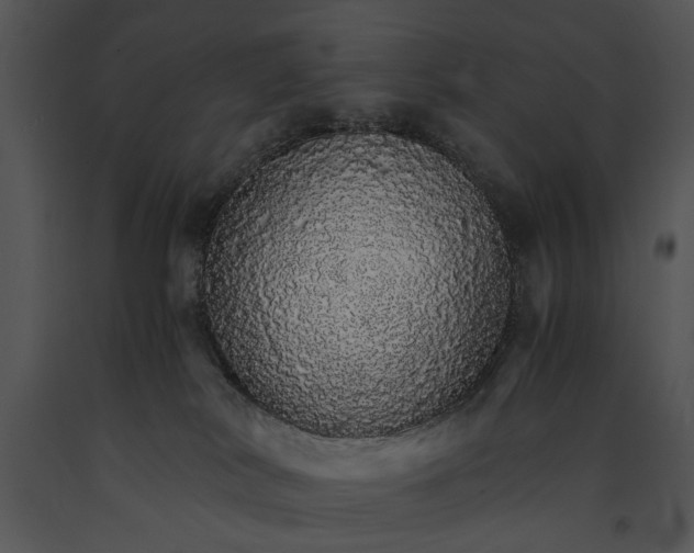X0000091180038200708301225