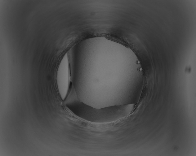 X0000091180041200708301225