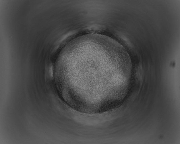 X0000091180042200708301225