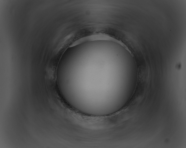 X0000091180044200708301225