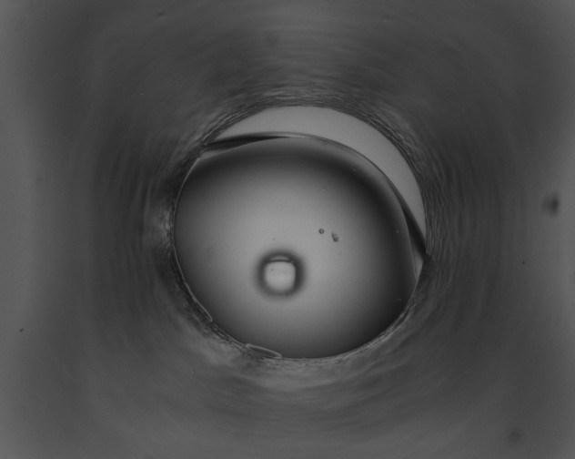 X0000091180045200708301225