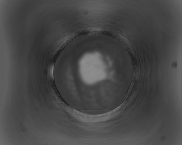 X0000091180047200708301225
