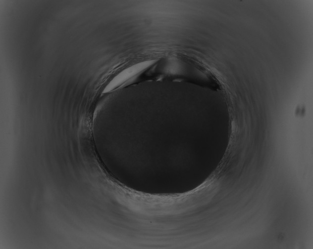 X0000091180048200708301225
