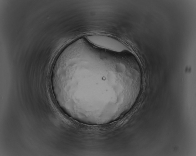 X0000091180049200708301225