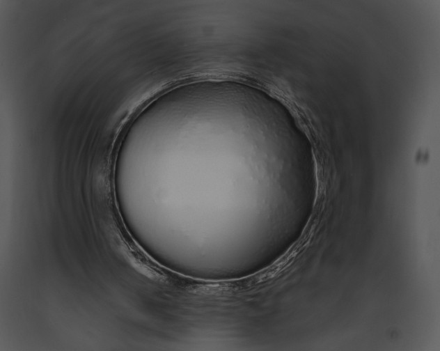 X0000091180050200708301225