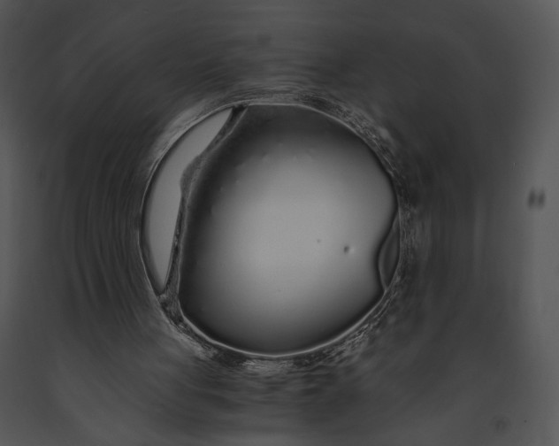 X0000091180051200708301225