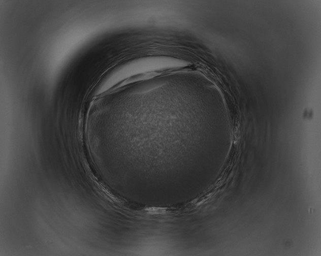 X0000091180052200708301225