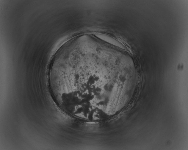 X0000091180053200708301225