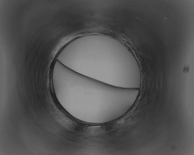 X0000091180054200708301225