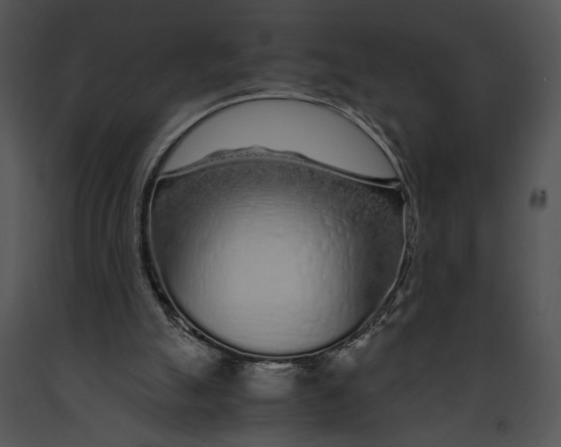 X0000091180055200708301225