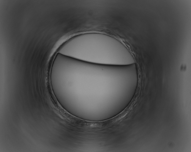 X0000091180056200708301225