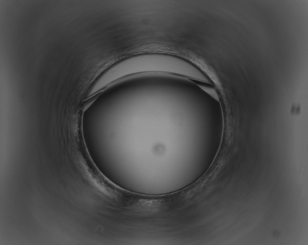 X0000091180057200708301225