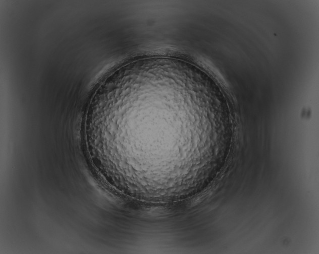 X0000091180058200708301225