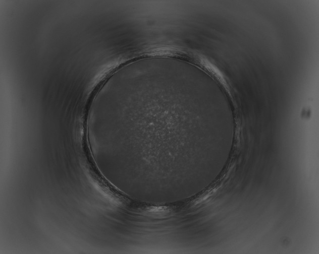 X0000091180059200708301225
