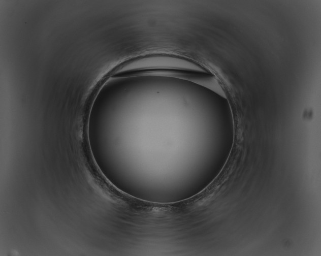 X0000091180060200708301225