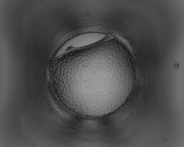 X0000091180061200708301225