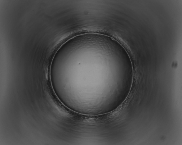 X0000091180062200708301225